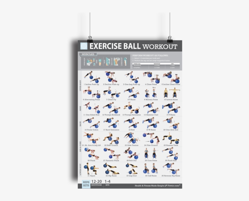 The Swiss Ball Are One Of The Best Fitness Tools You - Home Workout Exercise Ball, transparent png