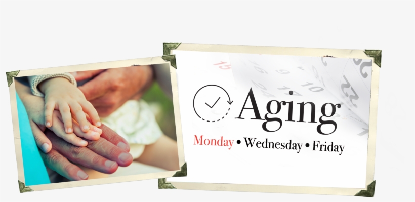 With My Lower Back Issues, It's Getting Increasingly - Hg Capital, transparent png