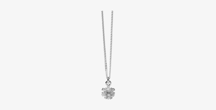Pom Pom Charm Necklace - Necklace, transparent png