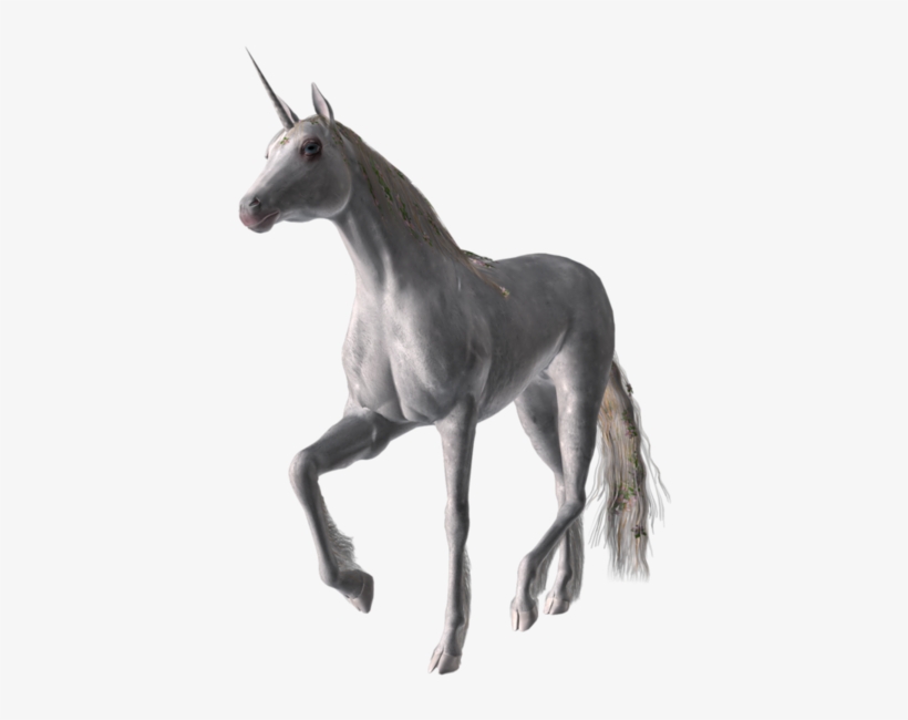 Share This Image - Horse, transparent png