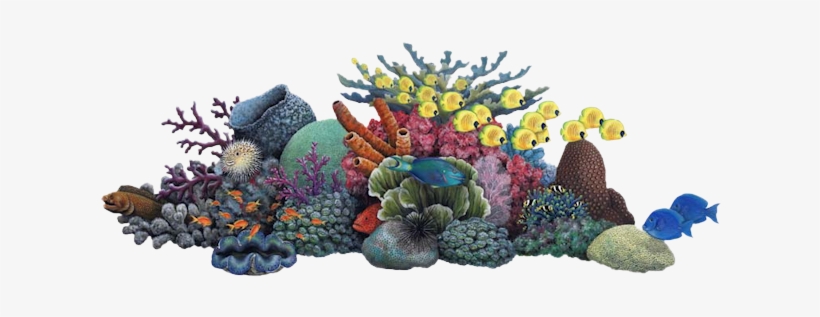 Oa-28 - Coral Reef Clipart, transparent png