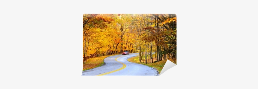 Car On Curvy Road In Autumn With Motion Blur To Show - Stock Photography, transparent png