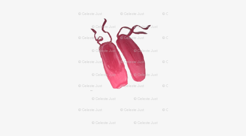 Ballet Slippers - Earrings, transparent png