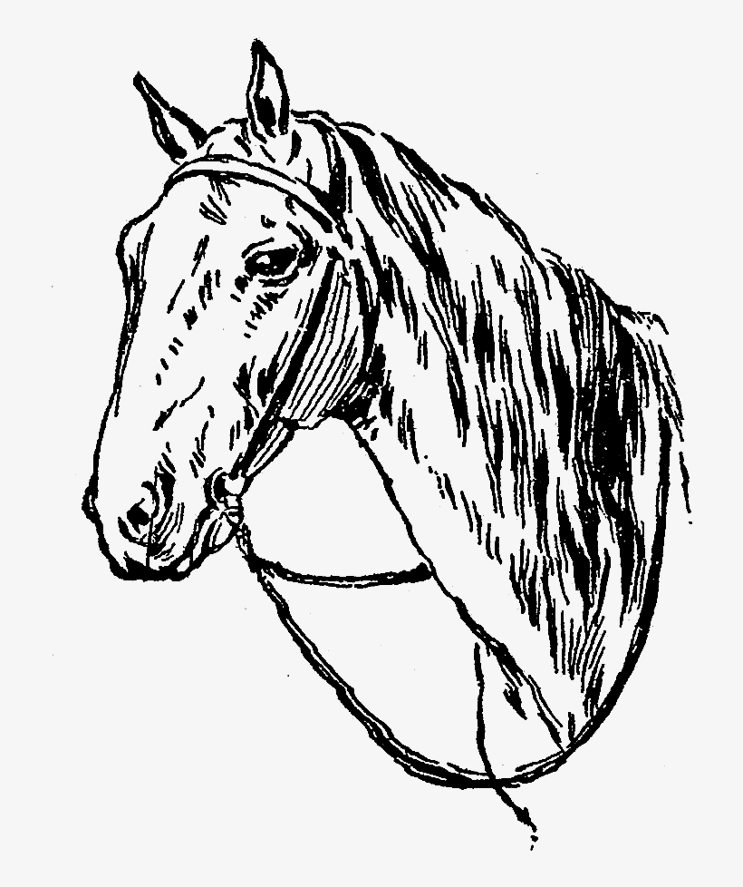 Digital Horse Clip Art - Mane, transparent png