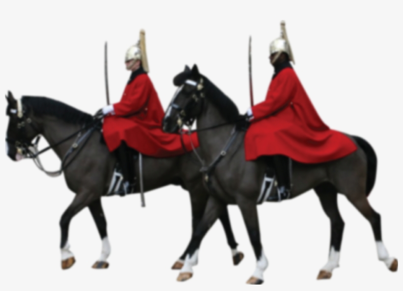 Horseguard - Stallion, transparent png