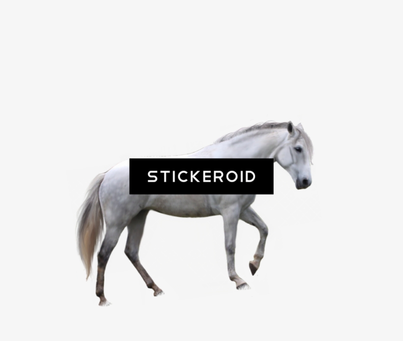 Brown Horse - Horse, transparent png