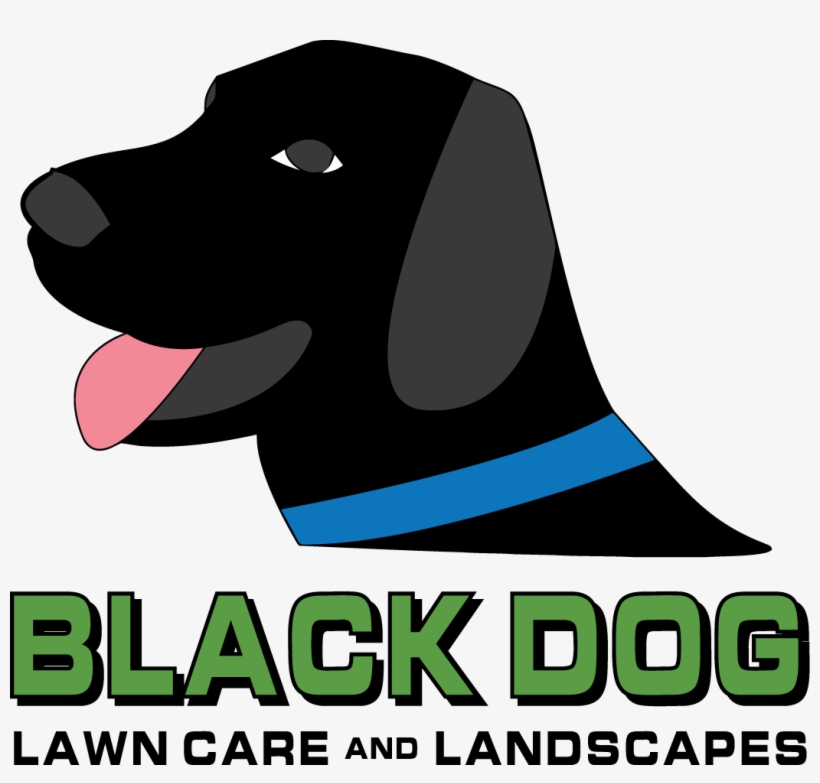 Black Dog Lawn Care & Landscapes, Llc - Black Dog Lawn Care & Landscapes, transparent png