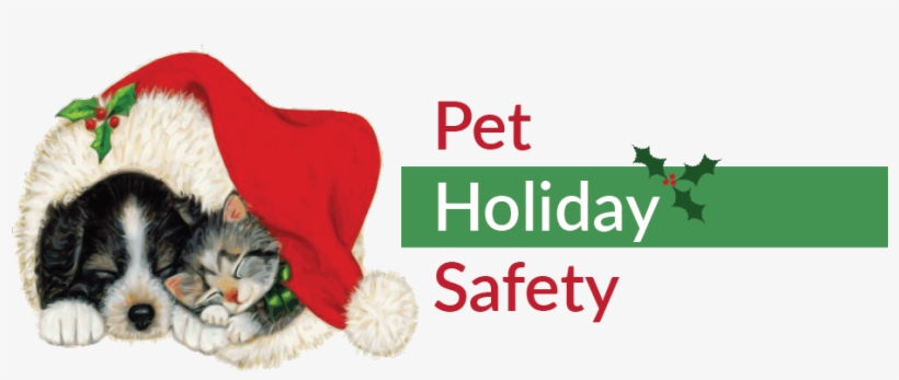 November 16,2017 - Png Christmas Clip Art, transparent png