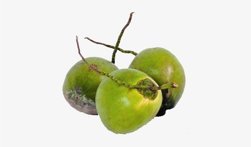 Tender Coconut Water Is A Natural Source Of Electrolytes, - Tender Coconut, transparent png