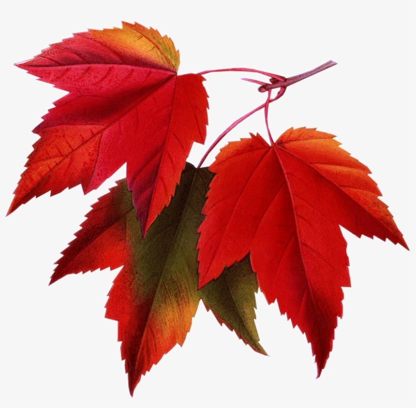 Fall Email Signature Clip Art