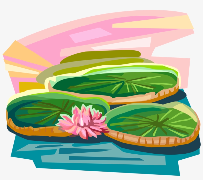 Vector Illustration Of Vitória Régia Water Lilies, - Vitoria Regia Vetor, transparent png