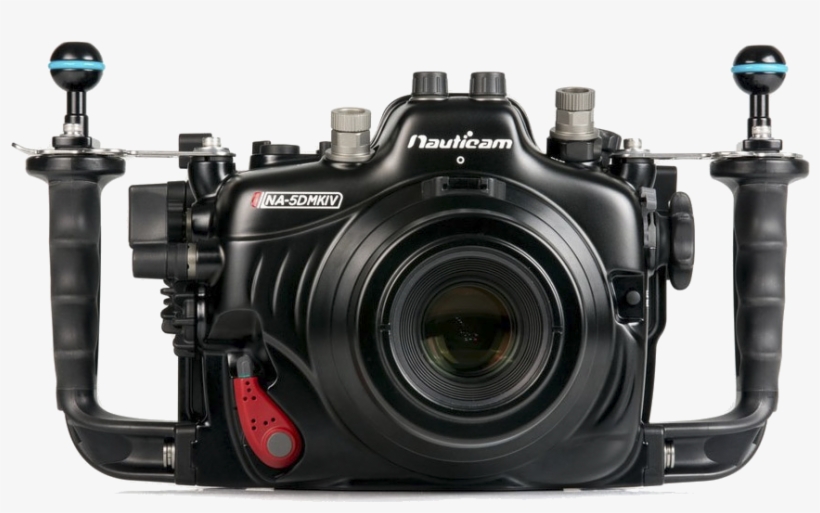 In Addition, The High Iso Performance In Low Light - 5d Mark Iv Underwater Housing, transparent png