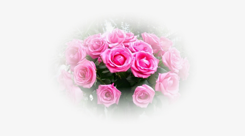 Post 148096 1330753892 Thumb - Букет Из Роз, transparent png