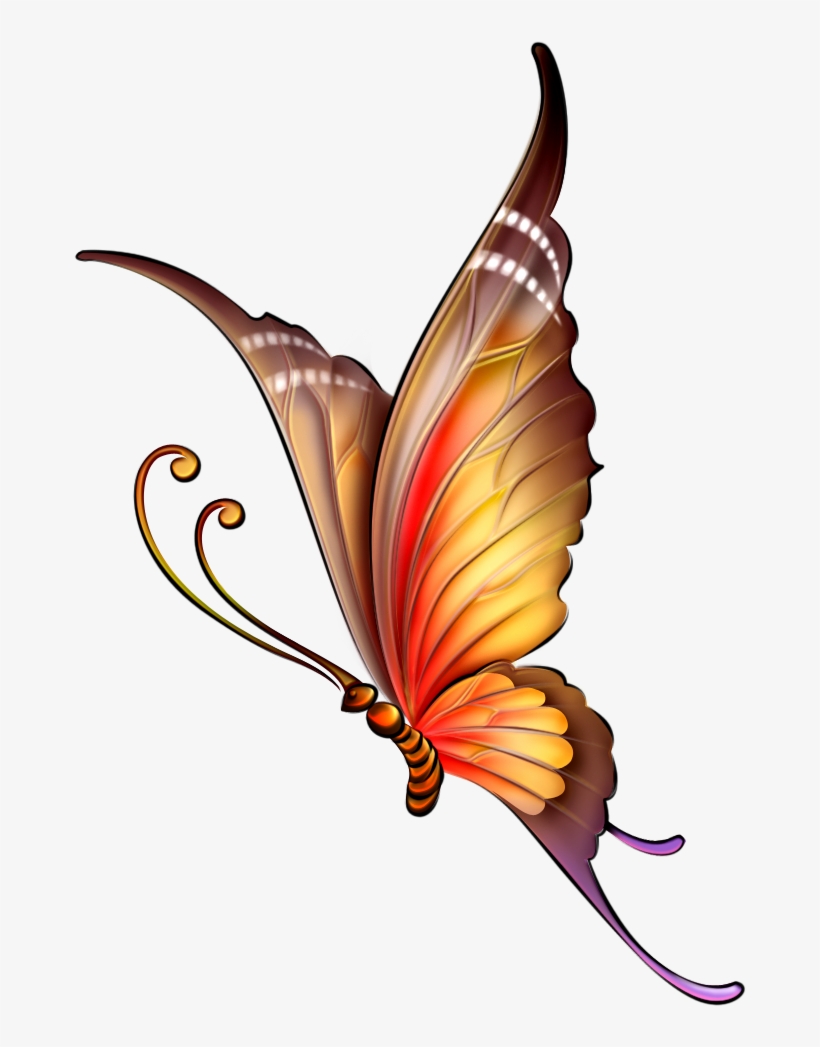 Фото, Автор Ya - Butterfly Drawing With Color, transparent png