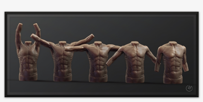Benmiller Shoulder Rhythm Front 1500px - Anatomy, transparent png