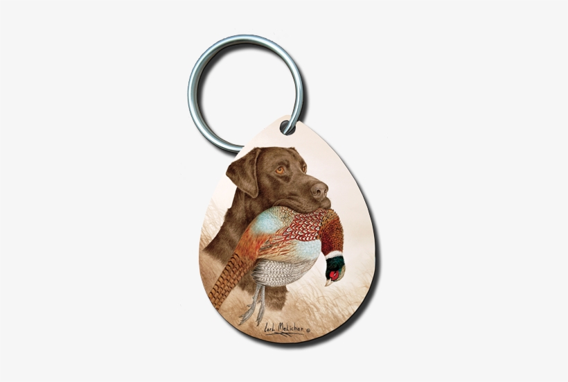 034 - German Shorthaired Pointer, transparent png