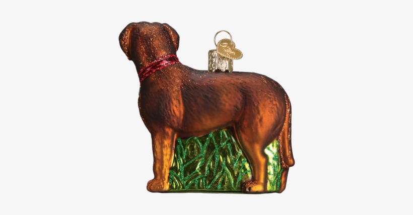 Standing Chocolate Lab Ornament - Old World Christmas Pacific Blue Tang Glass Ornament, transparent png