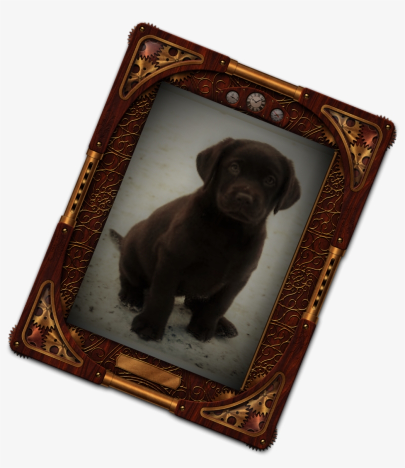 Home, transparent png