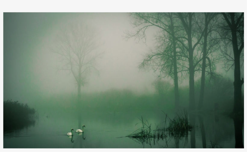Score 50% - Mist, transparent png