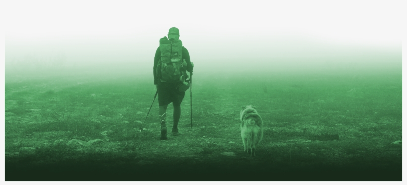 Optin Footer - Dog Walking, transparent png