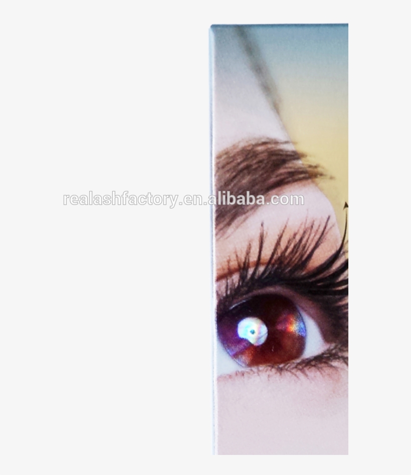 China Eye Seeing, China Eye Seeing Manufacturers And - Eyelashes Growth Product, transparent png