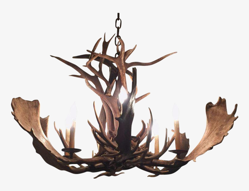 Deer And Moose Antler Chandelier - Chandelier, transparent png
