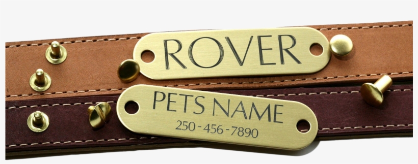 Collar Tag With Rivets - Strap, transparent png