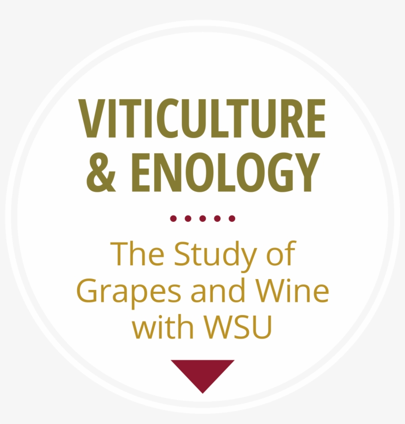 How Grapevine Virus Diseases Spread - Published On Junebug Weddings 2017, transparent png