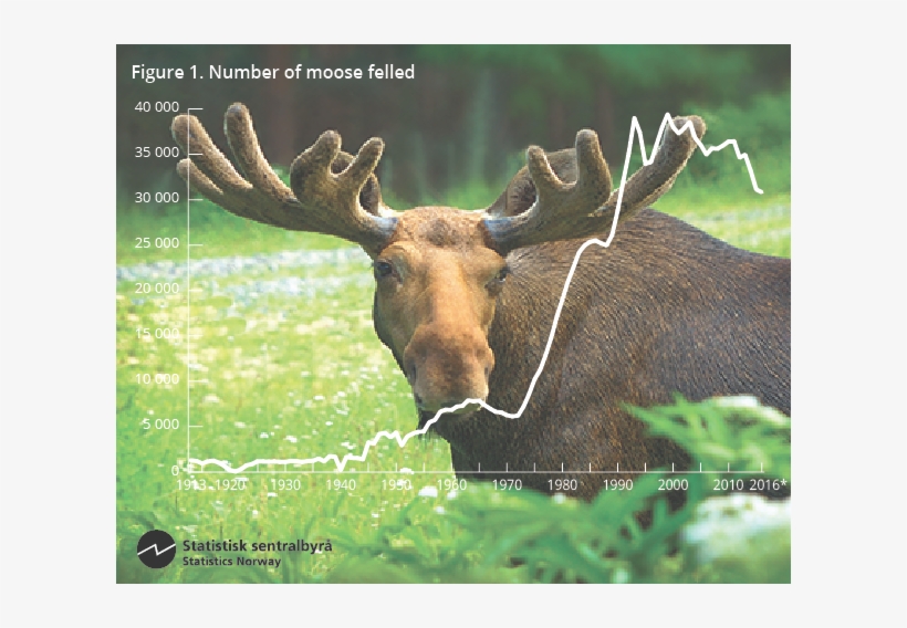 Number Of Moose Felled - Største Felte Elg I Norge, transparent png