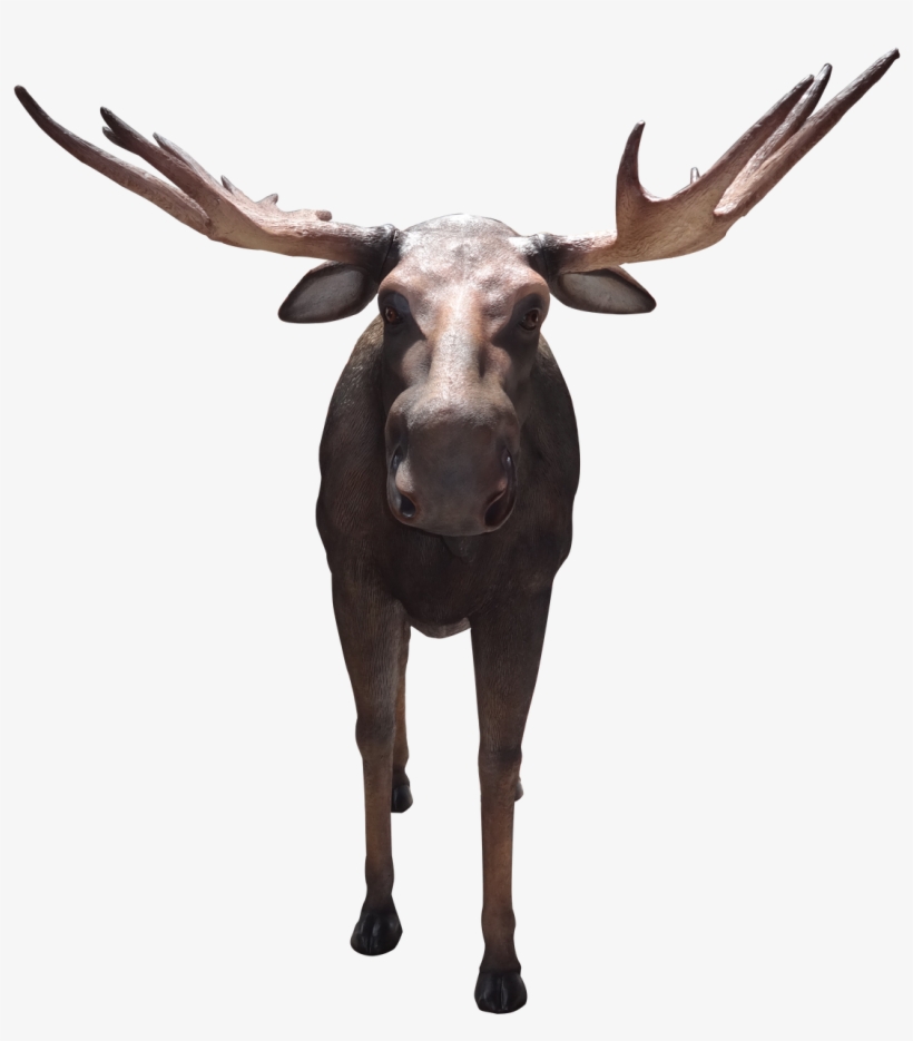 Horn, transparent png