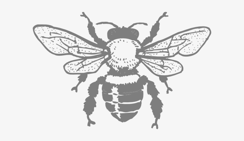 How To Set Use Grey Bee Svg Vector - Honey Bee Rectangle Sticker, transparent png