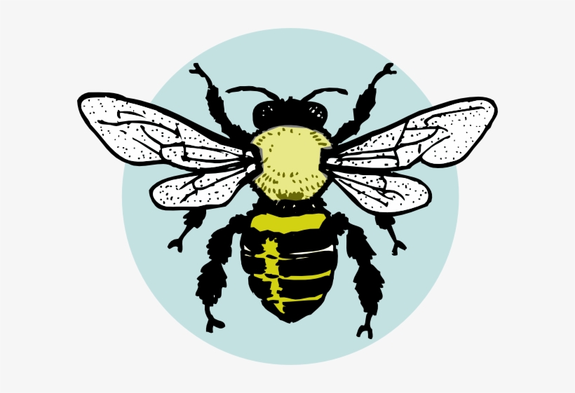 Little Bee Clip Art At Clkercom Vector Online - Honey Bees Black And White, transparent png
