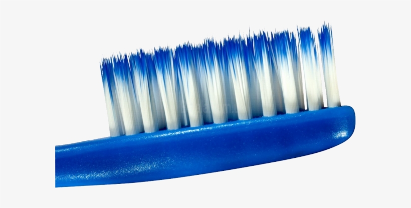 Tooth Brush Png Free Download - Cepillo De Dientes Cerda, transparent png