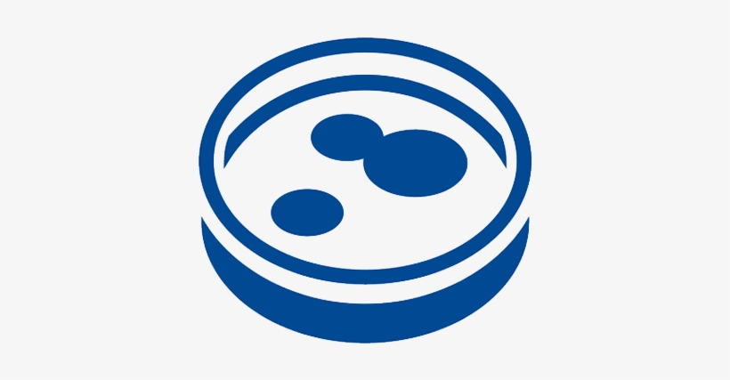 Human Melanoma Cell Line A375p Expressing Cdna For - Human Cell Line Icon, transparent png
