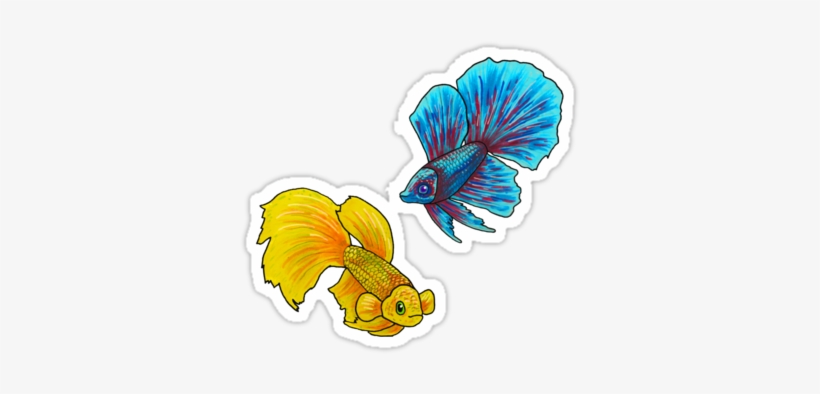 Fish, transparent png