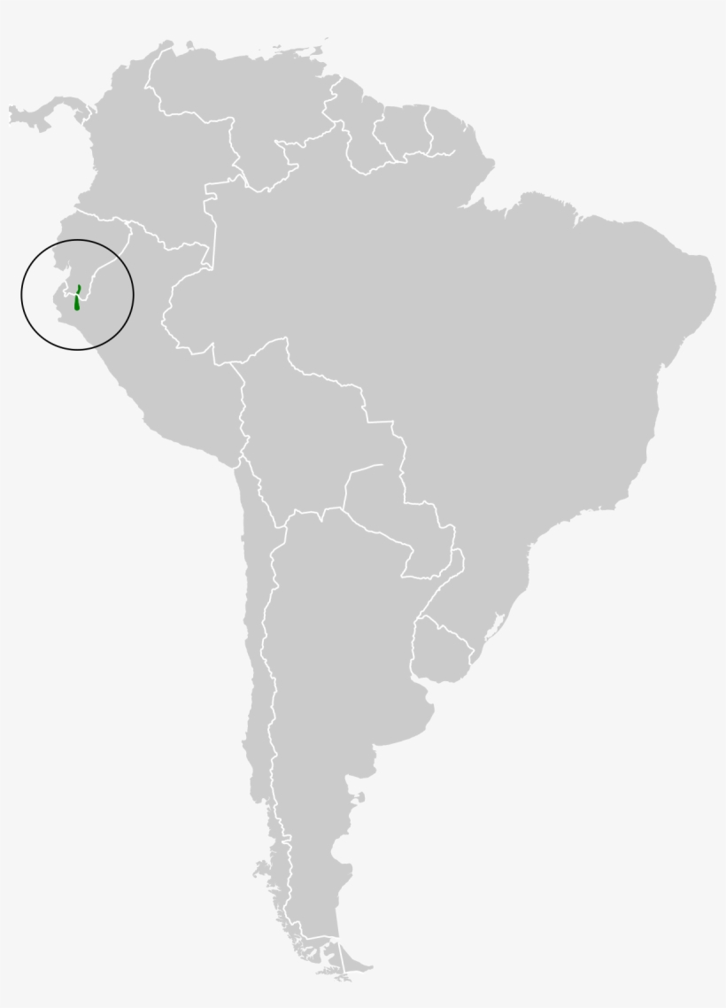 1953 South American Championship, transparent png