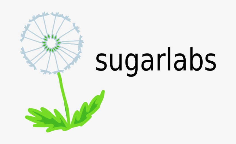 Drawn Dandelion Transparent - Dandelion, transparent png