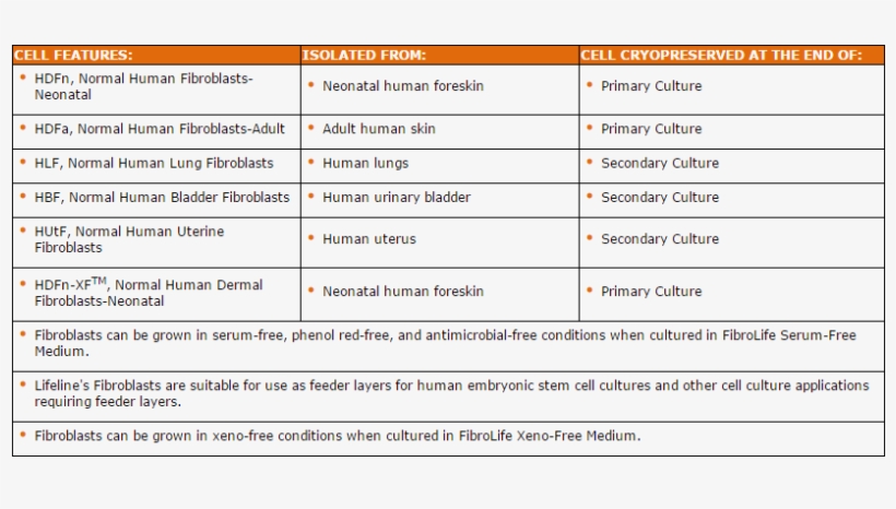 Human Fibroblast Cell Type Features - Kasturba Medical College Campus, transparent png