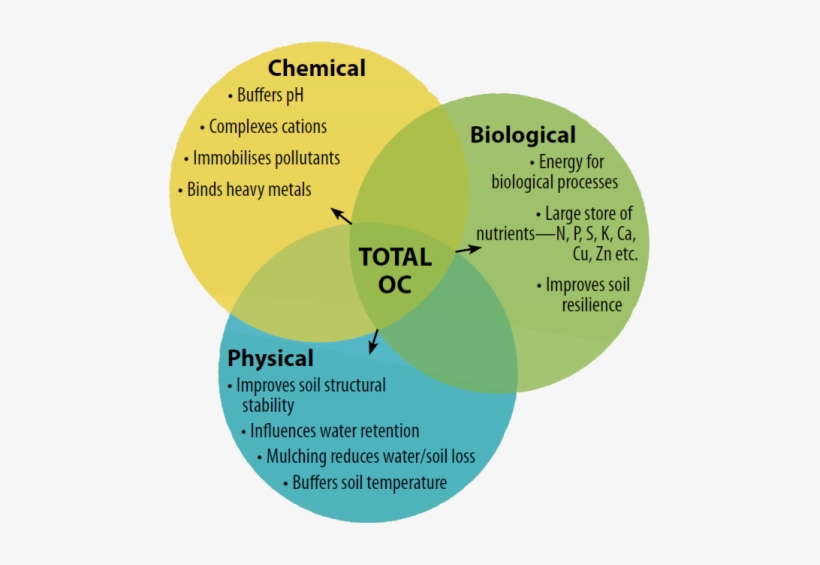 Background - Carbon Sequestration, transparent png
