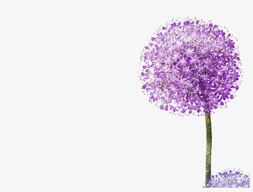 Purple, transparent png