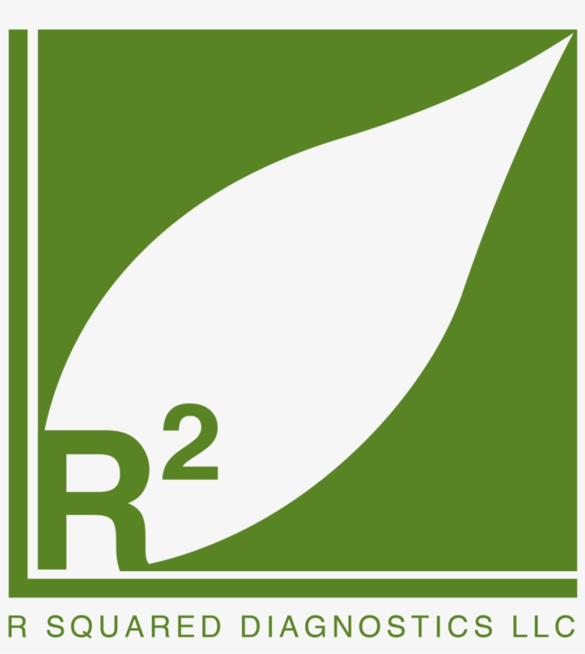 Soil Texture Png, transparent png