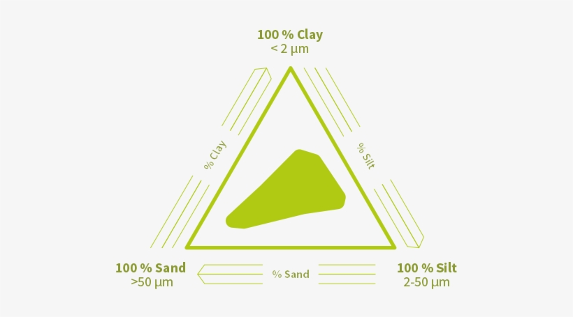 Soil Texture Suitable For Burgundy Truffle Culture - Burgundy, transparent png
