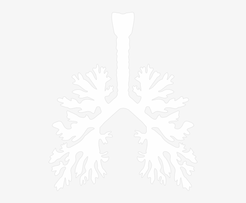 Lung Lung Png - Lung Stencil, transparent png