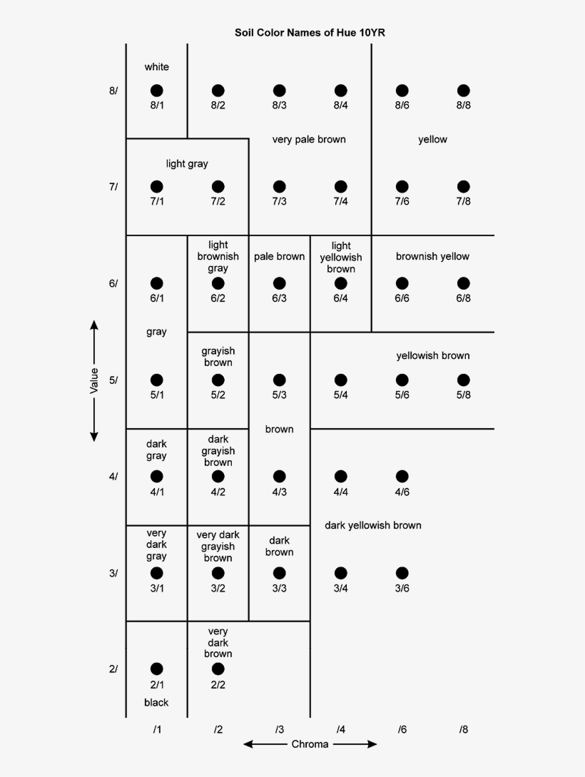 The Arrangement Of Color Chips According To Value And - Number, transparent png