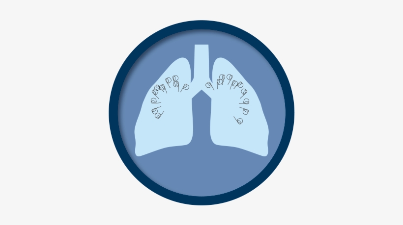 Procedure - Graphic Design, transparent png