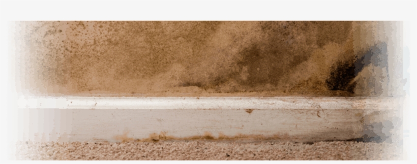 Mold - Concrete, transparent png