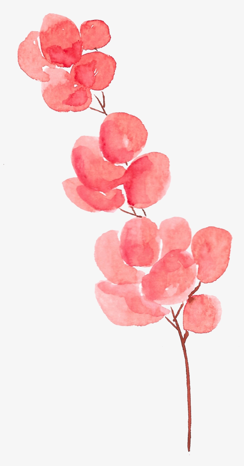Download Transparent Petal Flower Watercolor Painting - Watercolor
