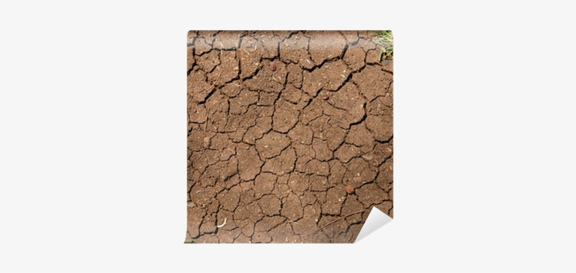 Cracked Texture Png Download - Texture Terra, transparent png