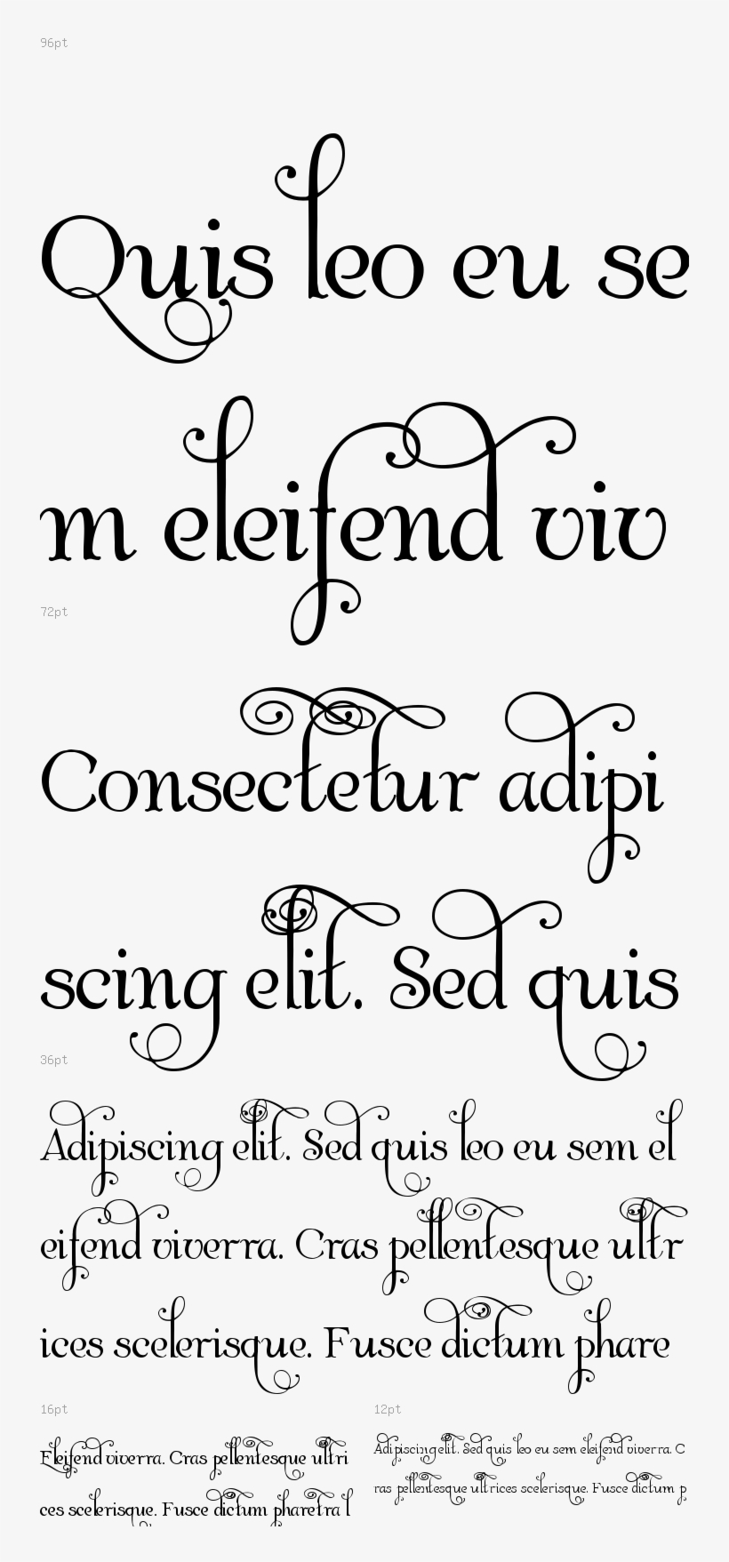 Download Albemarle Swash Font - Bling, transparent png