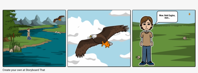 Bald Eagles, Man - Bald Eagle, transparent png